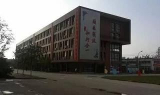 普通高等学校全日制应届什么意思